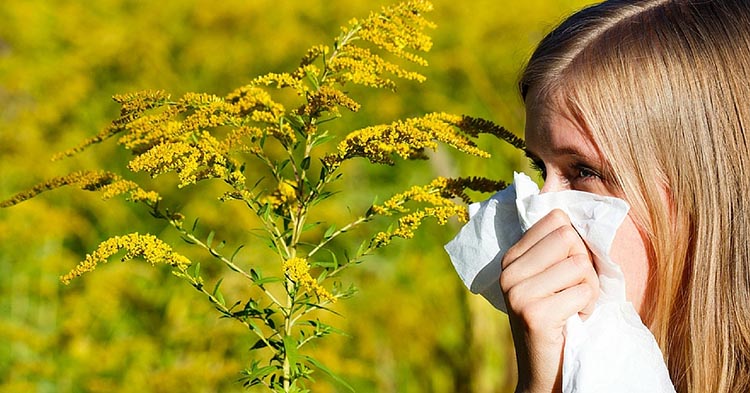 allergy doctor