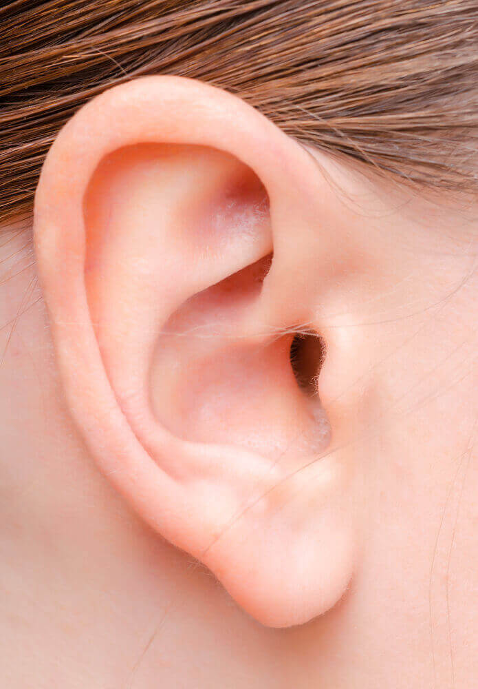 Human ear